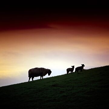 Artwork thumbnail, Cumbrian Spring by Coigach