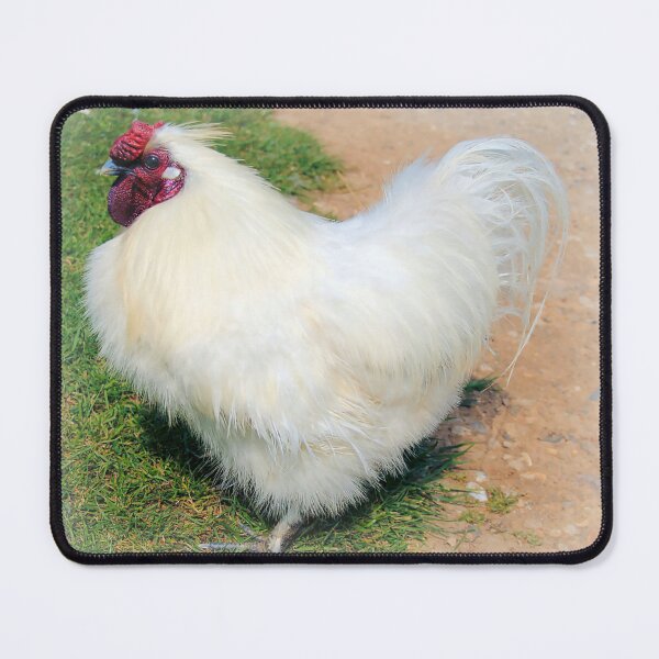 Item preview, Chicken designed and sold by JEZ22.