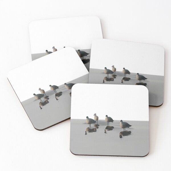 Item preview, Four water birds on a grey beach. White background designed and sold by janesg.