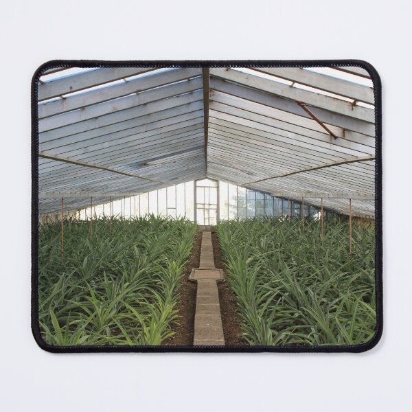 Item preview, photo of the pineapple greenhouse in Azores designed and sold by JukeBoxPixelArt.