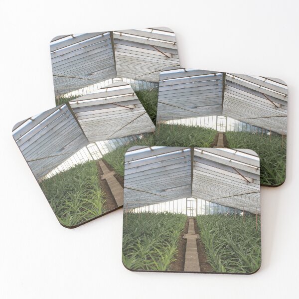 Item preview, photo of the pineapple greenhouse in Azores  designed and sold by JukeBoxPixelArt.