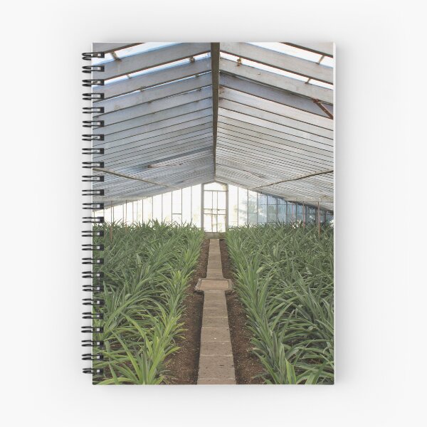 Item preview, photo of the pineapple greenhouse in Azores  designed and sold by JukeBoxPixelArt.