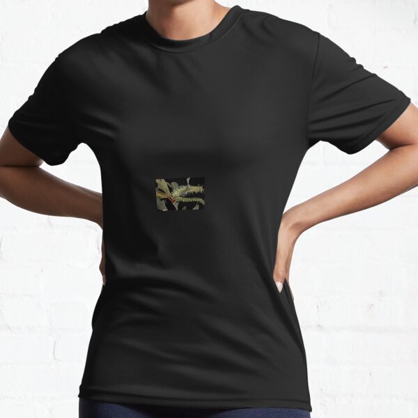 Item preview, Grevillea glauca designed and sold by andrachne.