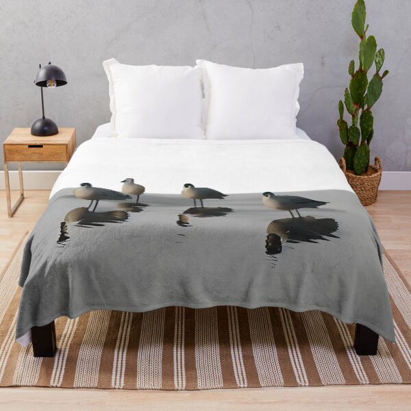 Item preview, Four water birds on a grey beach. White background designed and sold by janesg.