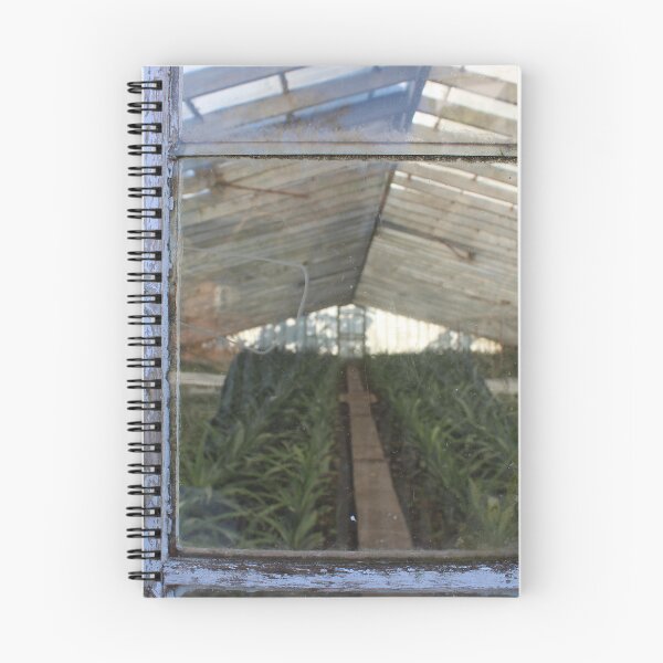 Item preview, Photo of pineapple greenhouse door closet in Azores  designed and sold by JukeBoxPixelArt.