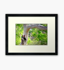 Location Location Location Framed Print