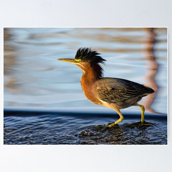 Item preview, Sunset Walk in the Water designed and sold by George I. Davidson.