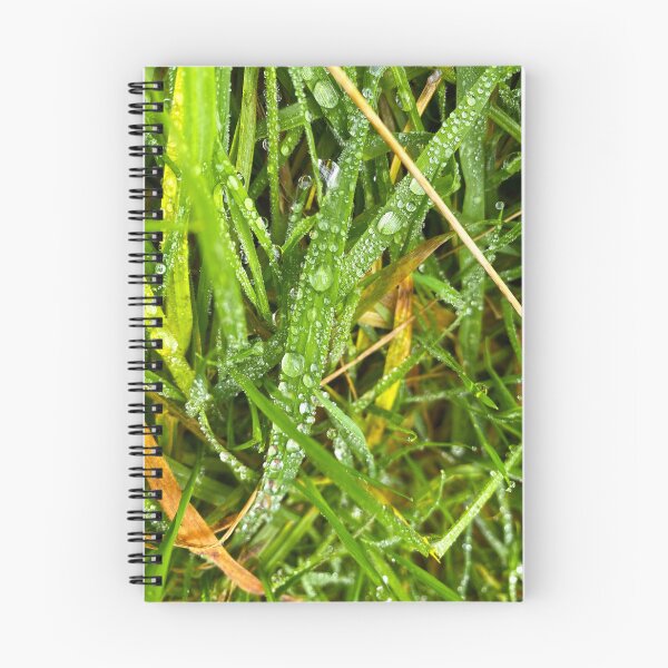 Aperçu de l'œuvre Grass and Drops créée et vendue par Nolwennya.