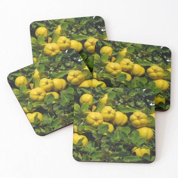 Item preview, Quince Tree designed and sold by hoonlin39.