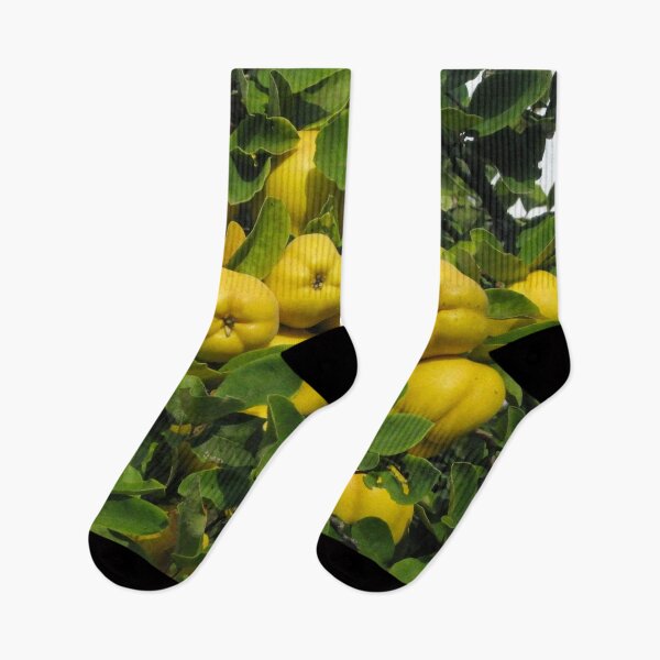 Item preview, Quince Tree designed and sold by hoonlin39.