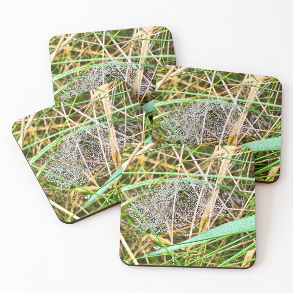 Item preview, Spider&Web&Drops designed and sold by Nolwennya.