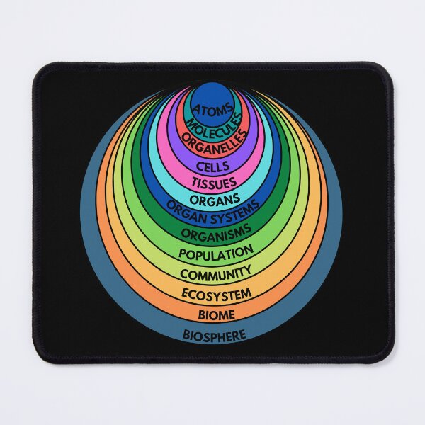 Item preview, The biological levels of organization of living things arranged from the simplest to most complex designed and sold by Science Store.