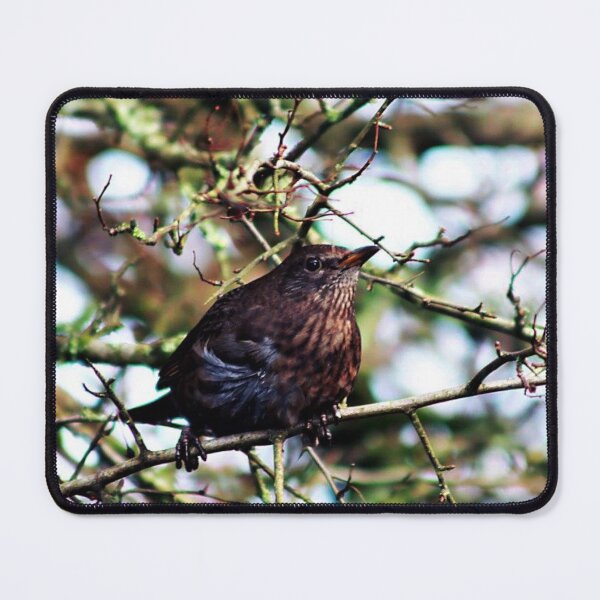 Artikelvorschau, brauner Gartenvogel entworfen und verkauft von Francespoppy.