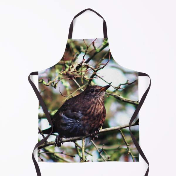 Artikelvorschau, brauner Gartenvogel entworfen und verkauft von Francespoppy.