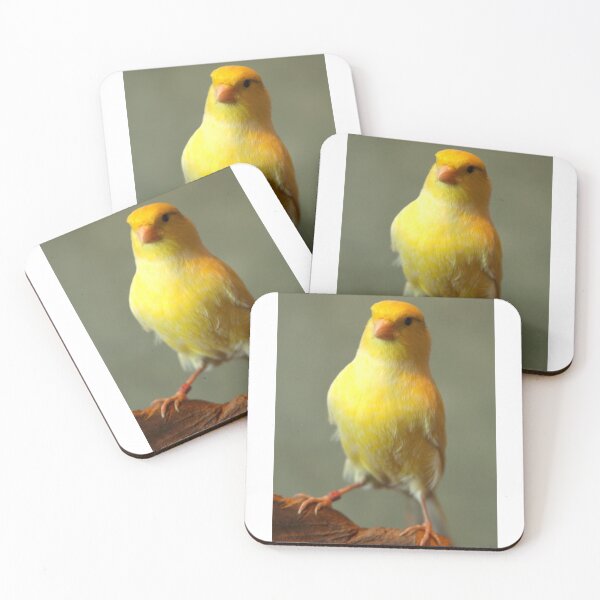 Item preview, canary designed and sold by Shimmy53.