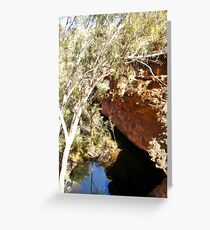 Waterhole - Kings Canyon Greeting Card