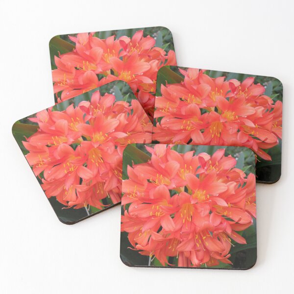 Item preview, Clivia or Kaffir Lily designed and sold by Trish Meyer.