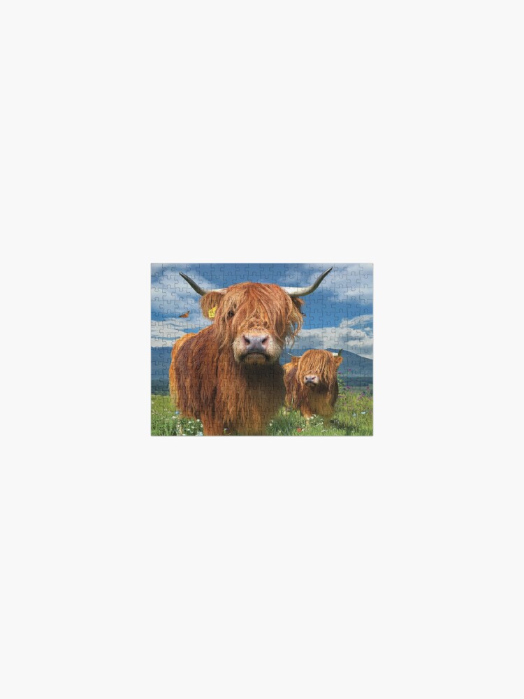 Thumbnail 1 of 3, Jigsaw Puzzle, Highland Cattle designed and sold by David Penfound.