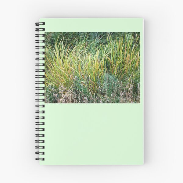 Item preview, Pale color wild grass landscape | wild plant photography pale color designed and sold by lausn.