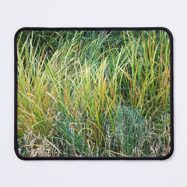 Item preview, Pale color wild grass landscape | wild plant photography pale color designed and sold by lausn.