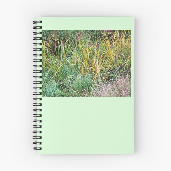 Item preview, Pale color wild grass landscape | wild plant photography pale color designed and sold by lausn.