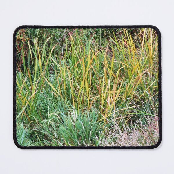 Item preview, Pale color wild grass landscape | wild plant photography pale color designed and sold by lausn.