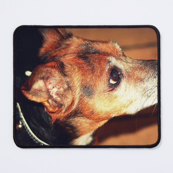 Item preview, old dog designed and sold by Francespoppy.