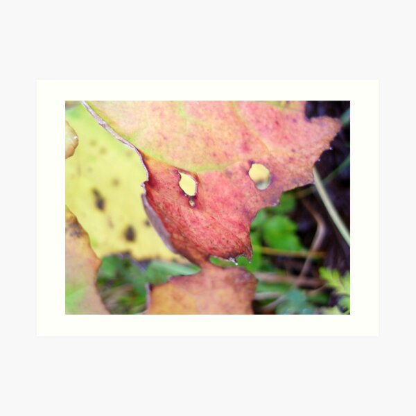 Art Print