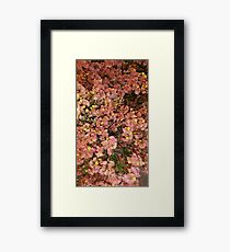 Flora Framed Print