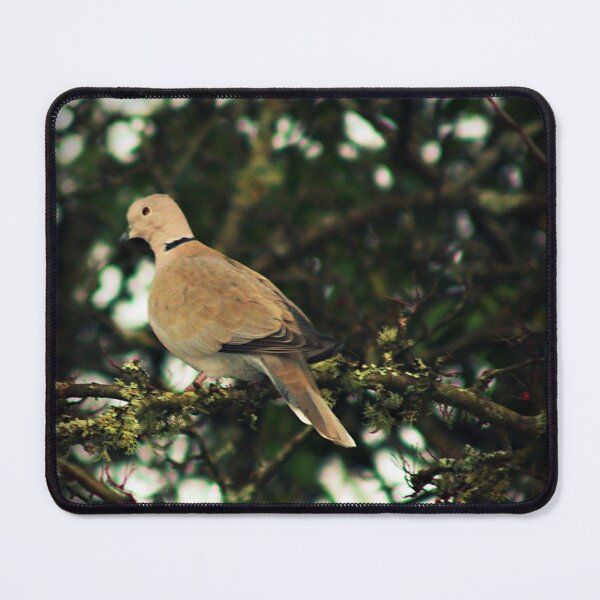 Item preview, Ring-necked dove designed and sold by Francespoppy.
