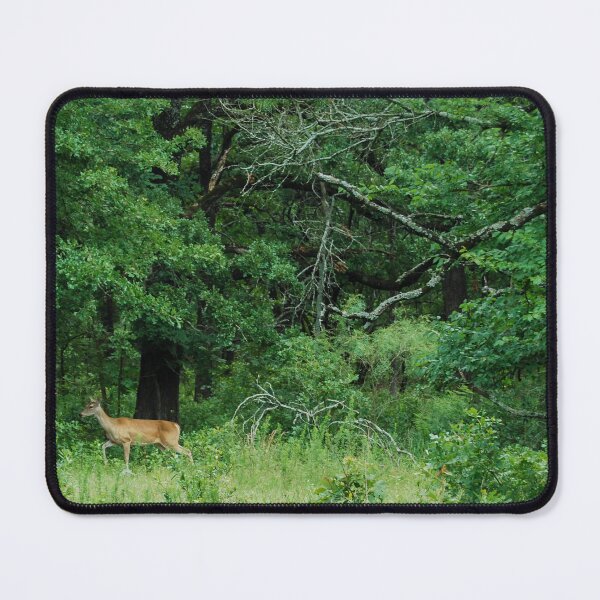 Item preview, Into the Forest designed and sold by Tiffany-Leigh.