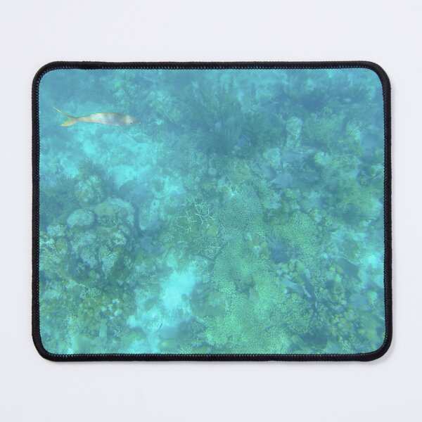 Item preview, Yellowtail Snapper designed and sold by Tiffany-Leigh.
