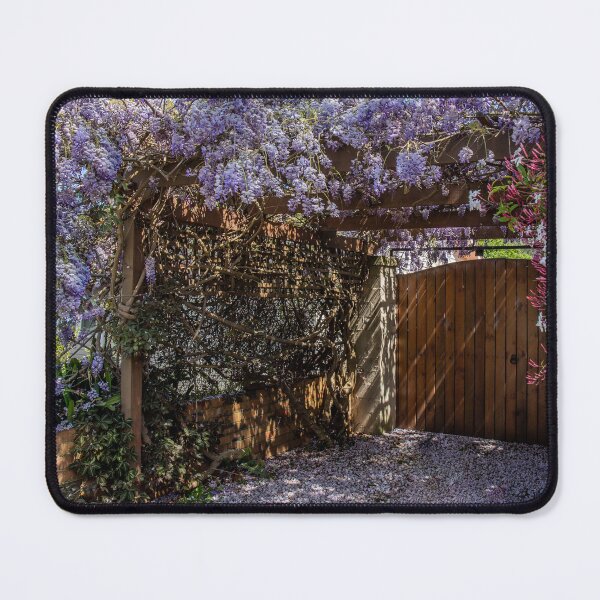 Item preview, Climbing Wisteria, Ivanhoe, Victoria, Australia designed and sold by Vicki Walsh.