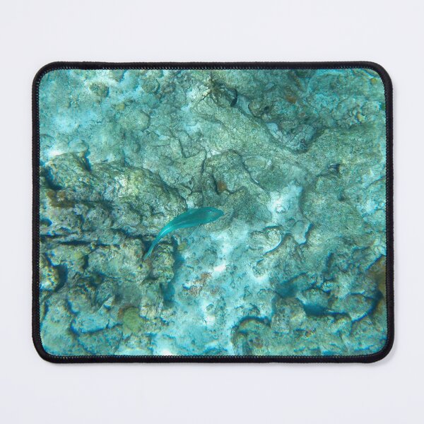 Item preview, Parrotfish designed and sold by Tiffany-Leigh.