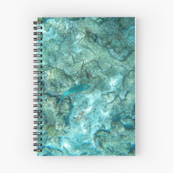 Item preview, Parrotfish designed and sold by Tiffany-Leigh.