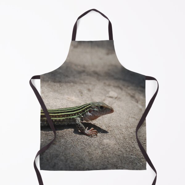 Item preview, Spotted Whiptail designed and sold by Tiffany-Leigh.