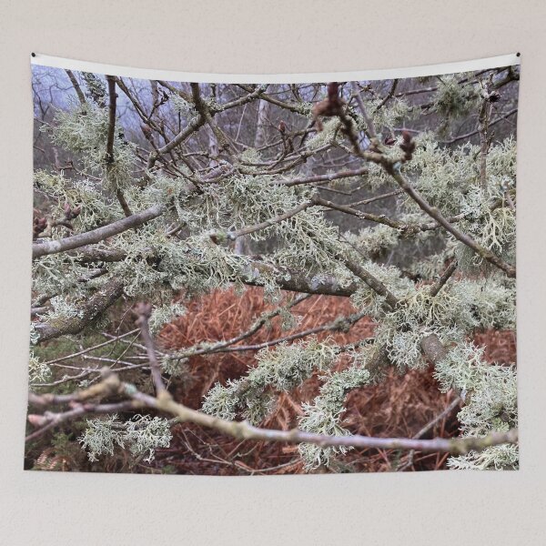 Item preview, Stunning! Lichen designed and sold by Picturestation.