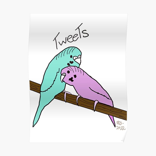 "Cute Budgies Pop out" Poster for Sale by AlaynaJ1 Redbubble