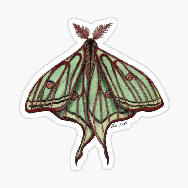 Item preview, Watercolor Elizabethan Butterfly - Moth designed and sold by Malu-Iriarte.