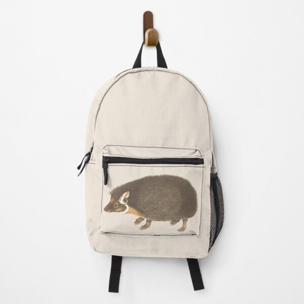 Item preview, Forest hedgehog illustration designed and sold by Myl-Design.