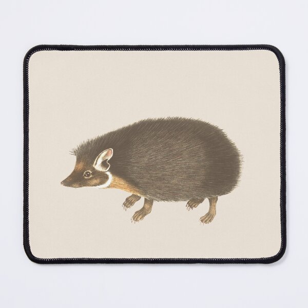 Item preview, Forest hedgehog illustration designed and sold by Myl-Design.