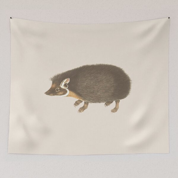 Item preview, Forest hedgehog illustration designed and sold by Myl-Design.