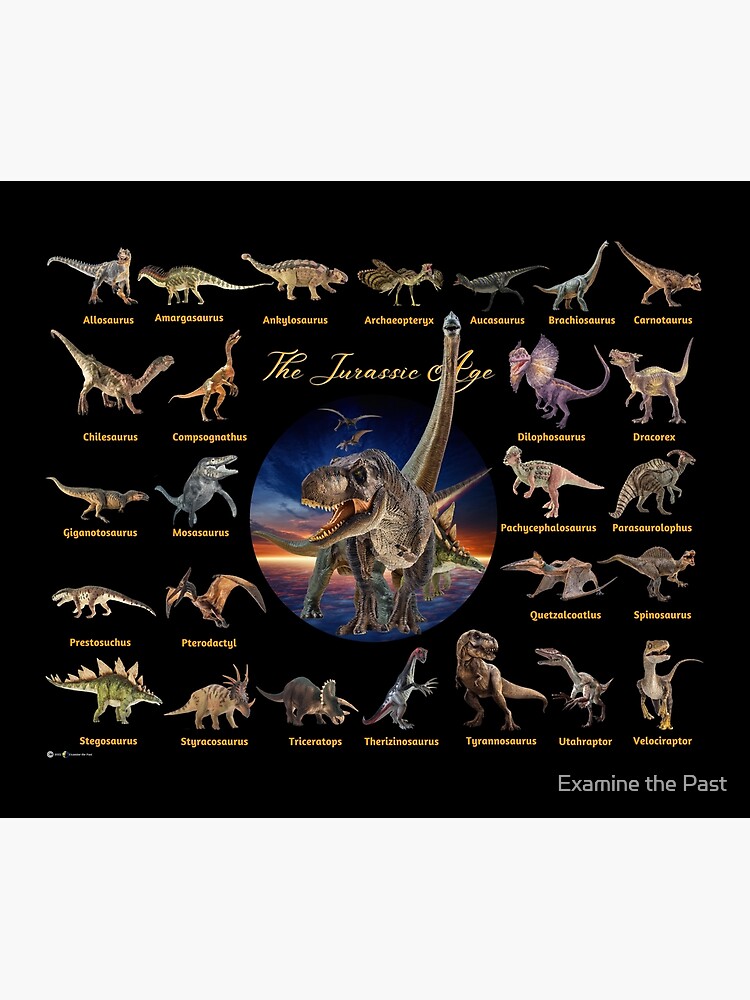 Thumbnail 6 of 6, Throw Blanket, Dinosaurs: The Jurassic Age (Black Background) designed and sold by examinethepast.
