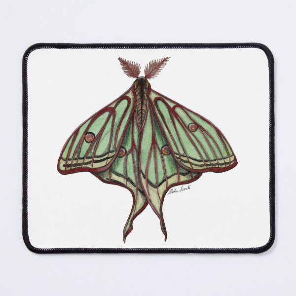 Item preview, Watercolor Elizabethan Butterfly - Moth designed and sold by Malu-Iriarte.