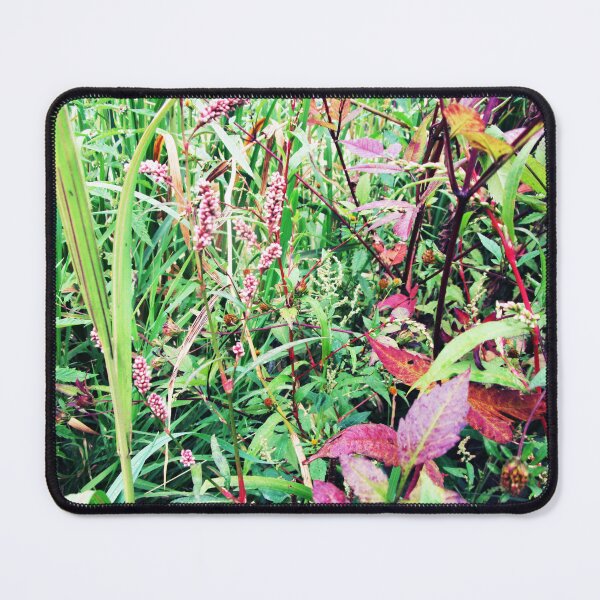 Item preview, Green red wild grass landscape | Green red wild plant photography  designed and sold by lausn.