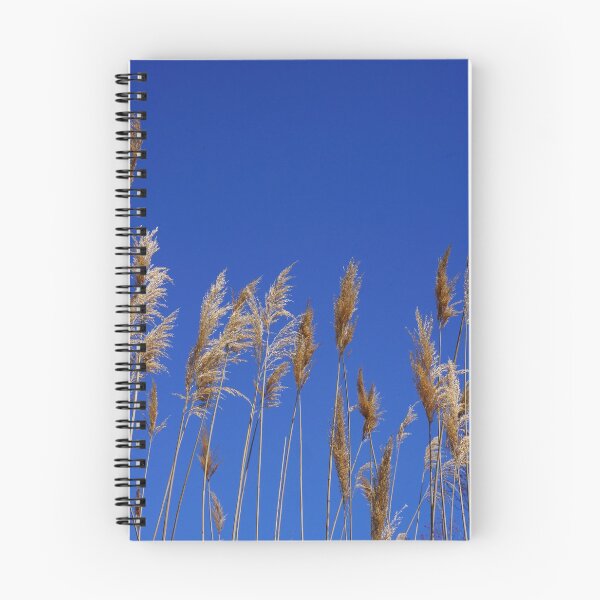 Item preview, Pampas against sky blue !  designed and sold by Nancy Richard.