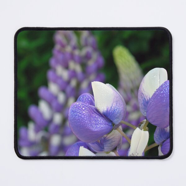 Item preview, Lupins, in purple. designed and sold by JonDelorme.