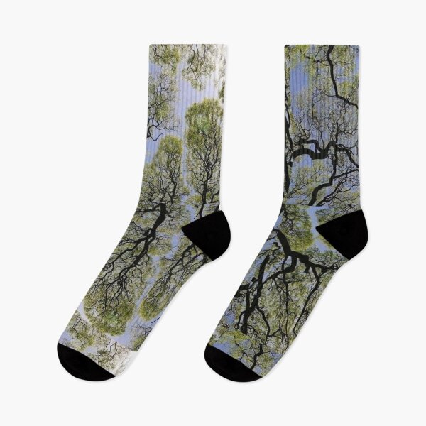 Item preview, TREES IN SUNLIGHT : NATURE: SOOTHING PRINTS designed and sold by CalmSootra.