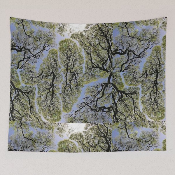 Item preview, TREES IN SUNLIGHT : NATURE: SOOTHING PRINTS designed and sold by CalmSootra.