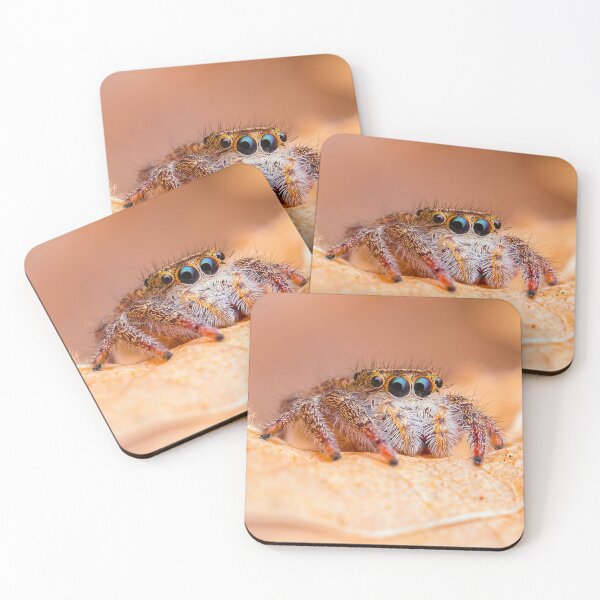 Item preview, Adorable Jumping Spider - Salticid designed and sold by AronsTinySafari.